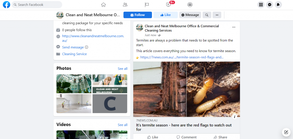 A Link post referencing The Morning Show's article on Termite Season from Clean and Neat Melbourne VIC's Facebook Page