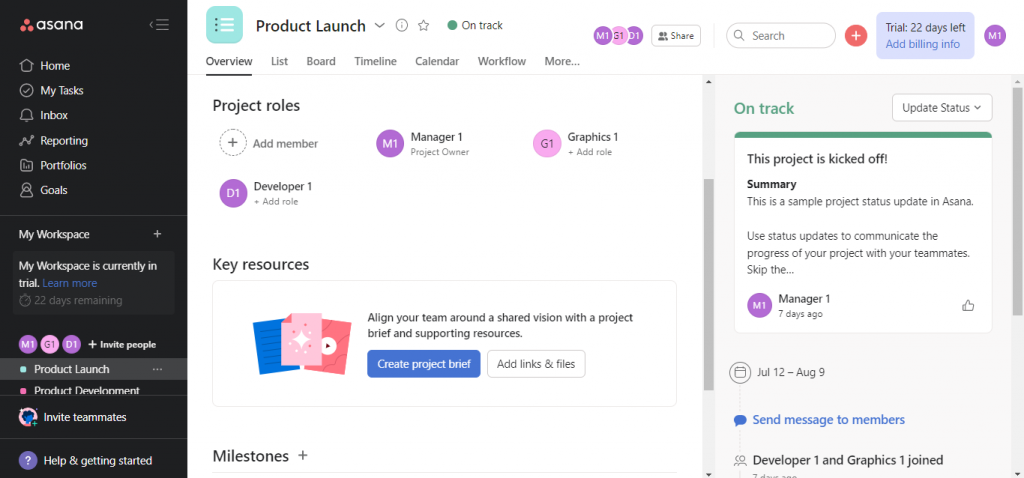 Overview in Asana