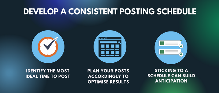 identify the most ideal time to post, plan your posts accordingly to optimise results and sticking to a schedule can build anticipation